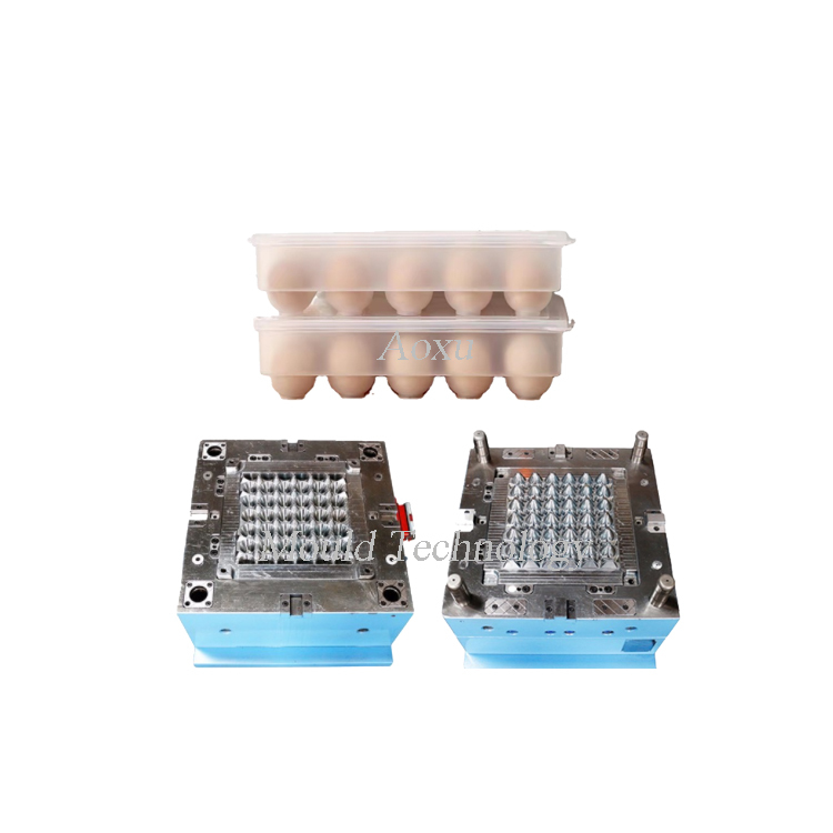 Molde de caja de almacenamiento de huevos de plástico